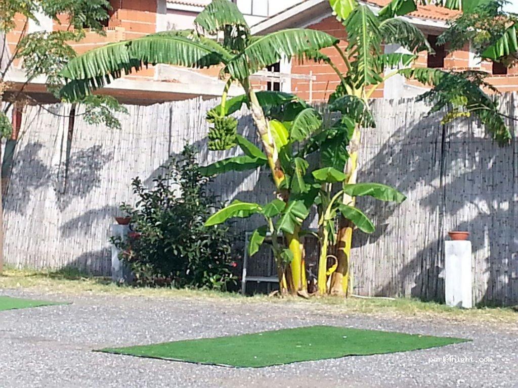 Area Sosta Camper - Aurora - Giardini Naxos - Foto 5