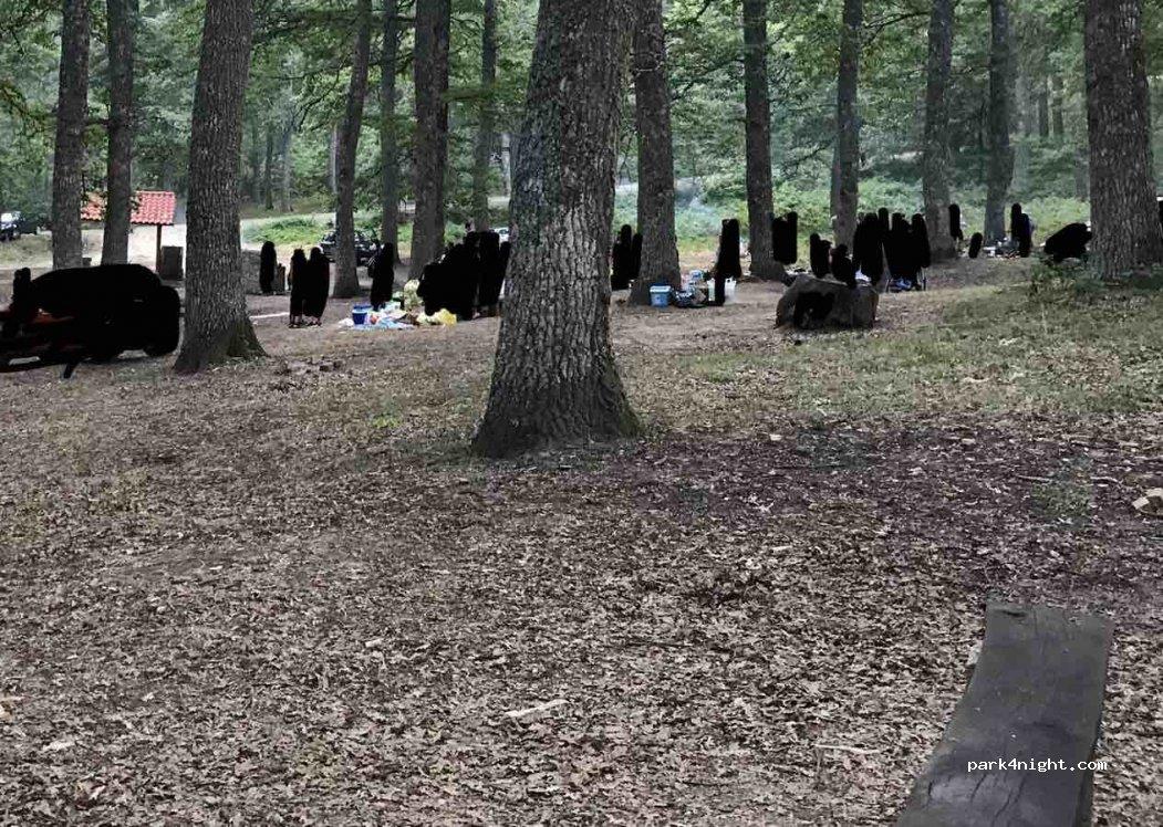 Area Camper Accettura - Foto 3