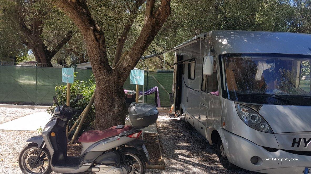 Sosta Camper "Il Fiore della Duna" - Foto 5