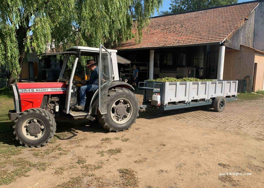 Wohnmobilstellplatz Bioweingut Edelhof - Foto 5