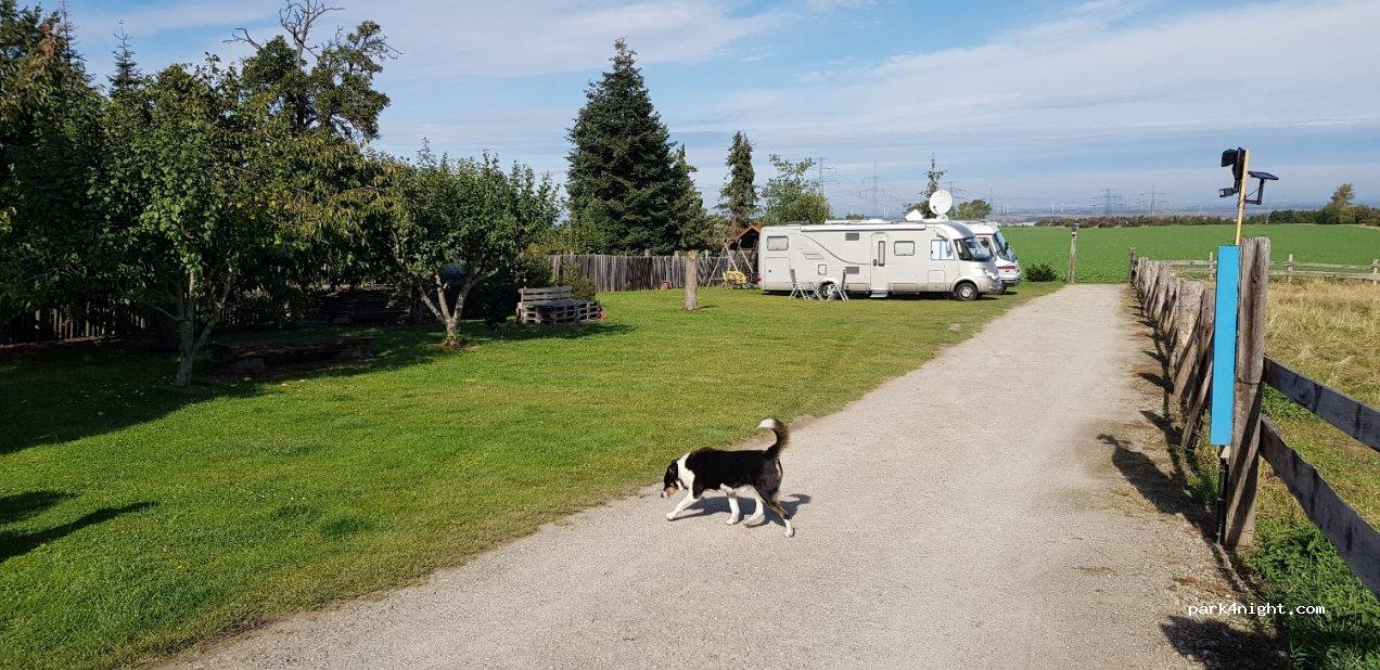 Wohnmobilstellplatz Lassek - Wohnmobil , Caravan , Wohnmobilstellplatz , Camping , Campingplatz , Stellplatz , Erfurt - Foto 5