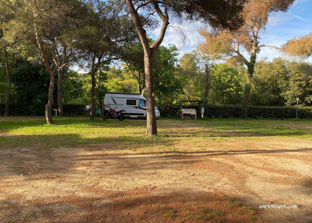 Camping LOS MAÑIOS - Foto 5