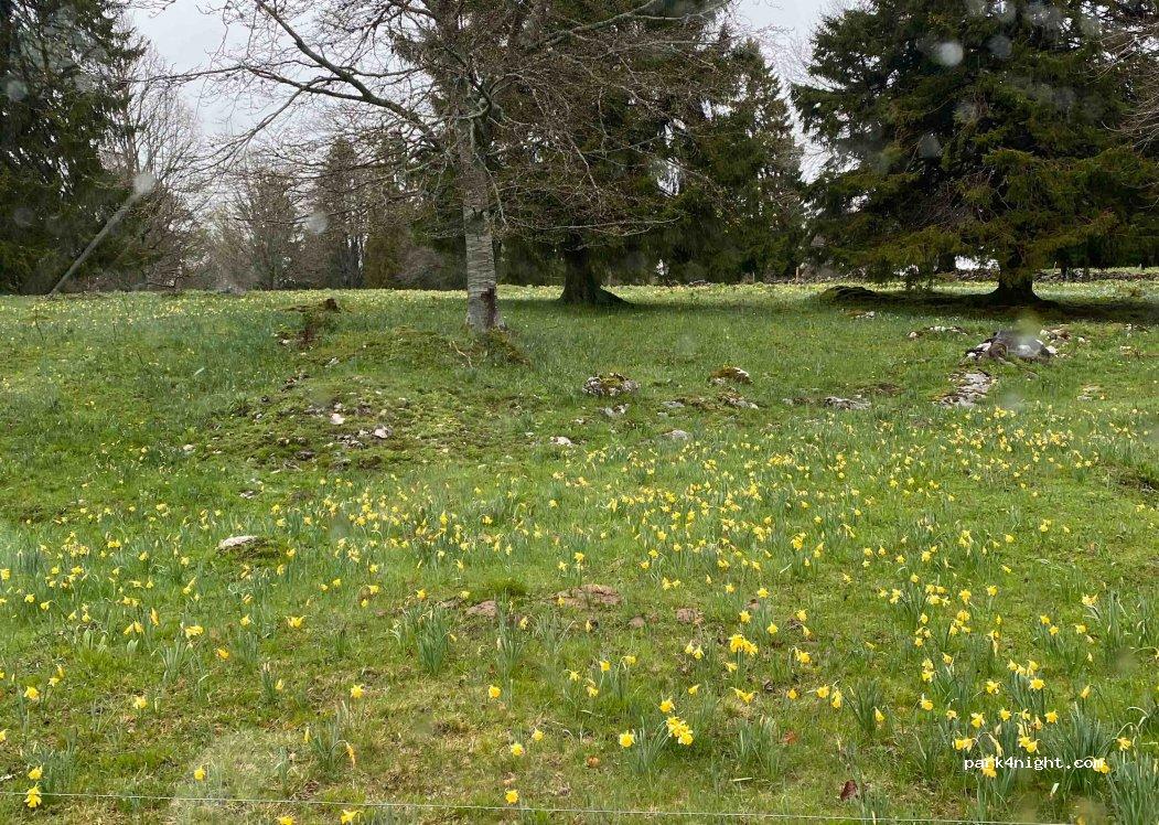 Aire pour camping-cars 2606 Corgémont - Foto 3