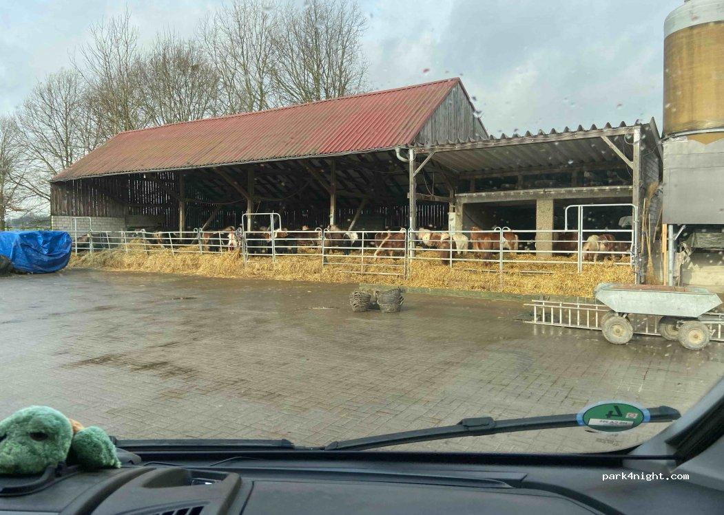 Wohnmobilstellplatz Hippo-Fun - Foto 7