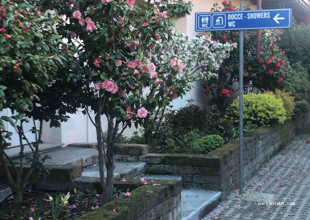 Parking Willy - Foto 5