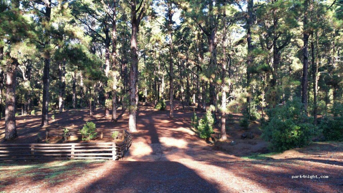 Zona De Acampada De Las Raíces - Foto 3