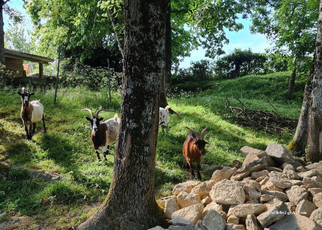 Aire de camping-car LA ROCHE SUR YON - Foto 5