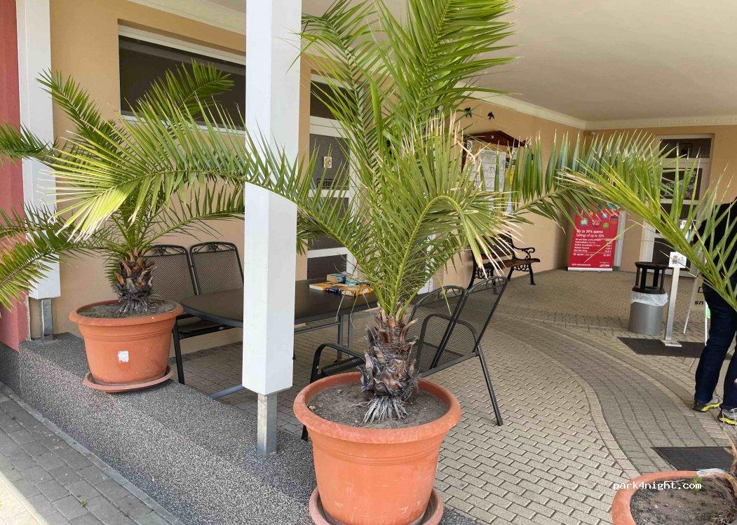 Campingplatz am Mahlower See bei Berlin - Foto 3