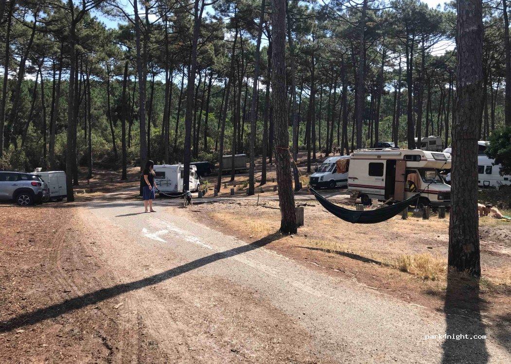 Aire De Camping Car - Tete De Buch - Foto 3