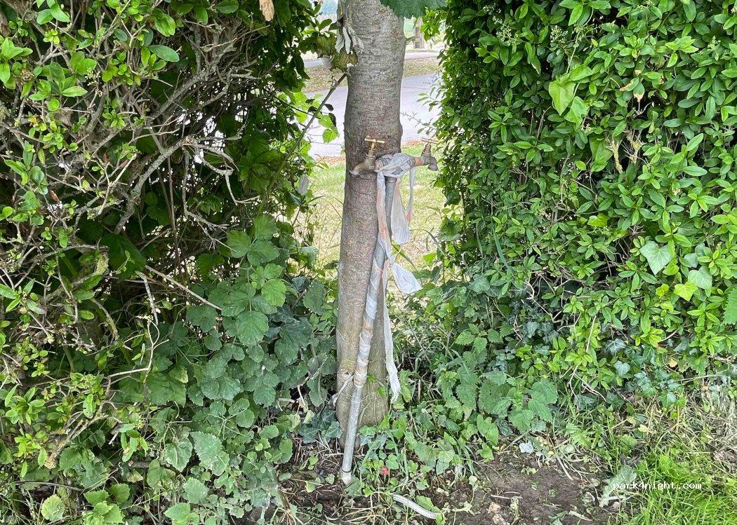 Aire de camping-cars Base nautique - Foto 6