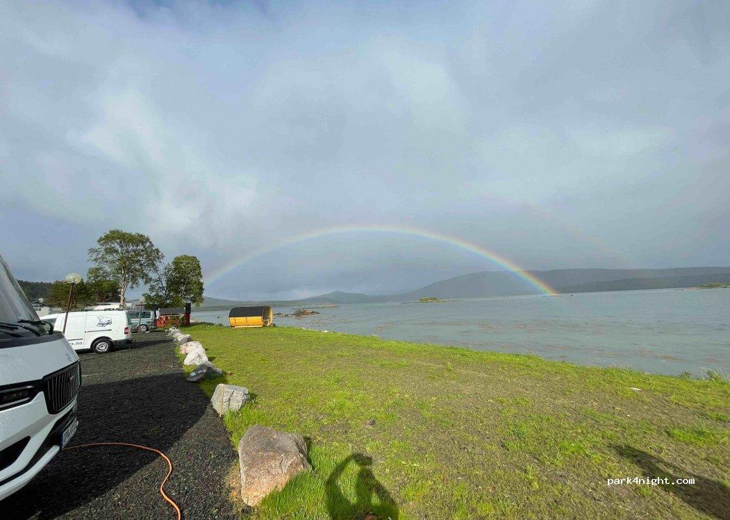 Norwegian Wild - Foto 3