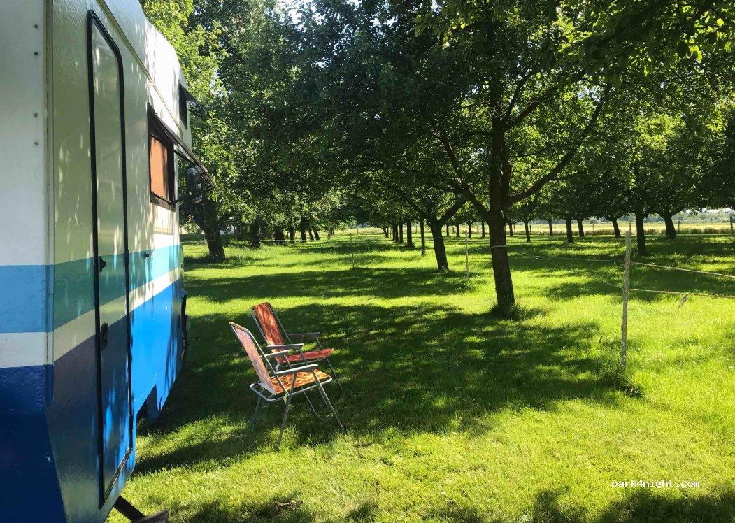 Wohnmobil- und Wohnwagenstellplatz 4331 Naarn im Machlande - Foto 2