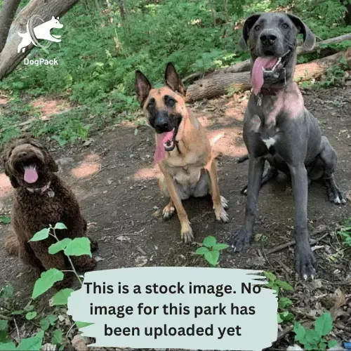 Glamping La yurta nel verde - Foto 2