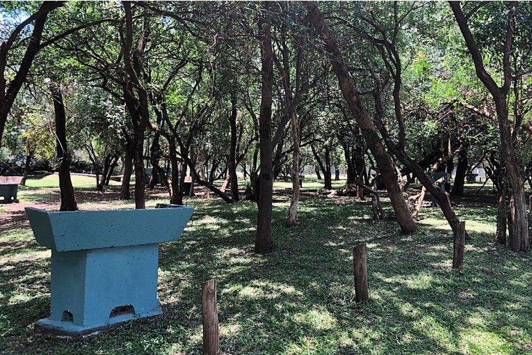 Camping Balneario Municipal Puerto Yerua - Foto 5