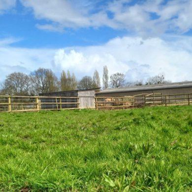 Aire de camping-car HEROUVILLETTE - Foto 6