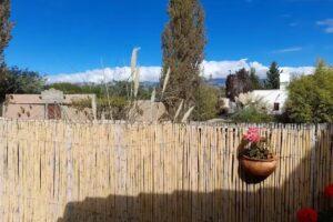 Complejo Petunia - Foto 3