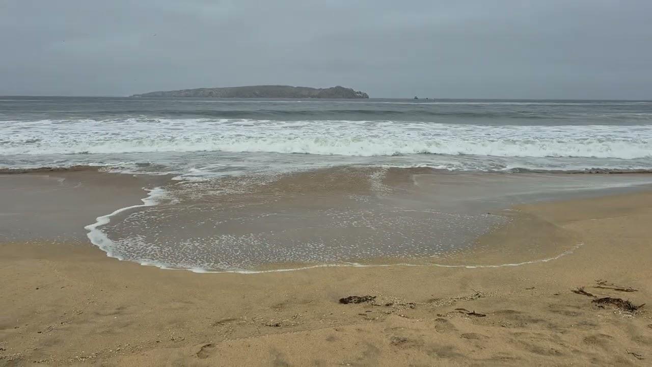 Playa Bahía Cisne - Foto 7