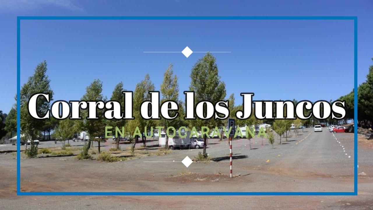 Corral de los Juncos - Foto 4