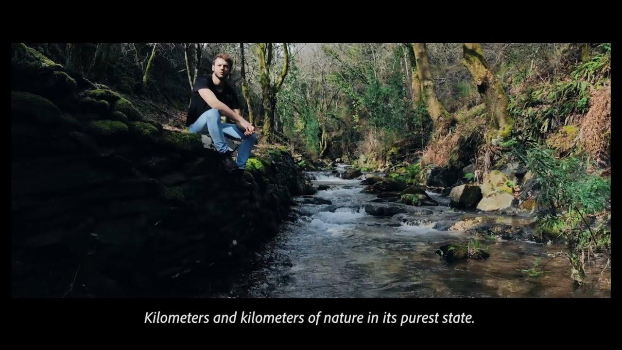 Area de Serviço de Autocaravanas de Mortágua - Foto 7