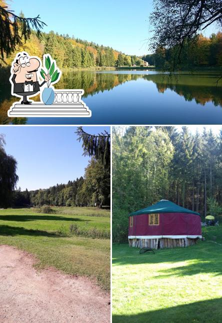 Le FoxyCamp, les étangs du longeau, nuit insolite Meuse, glamping, camping nature, guinguette - Foto 2