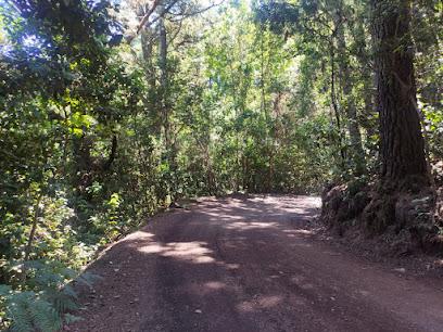 Las Calderetas (Ravelo) - Foto 3