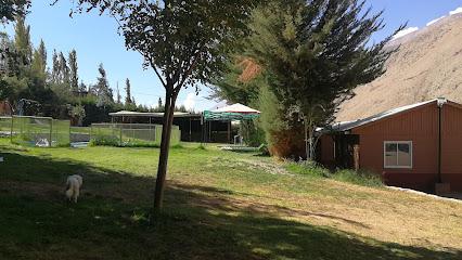 Camping Termas Socos - Foto 6