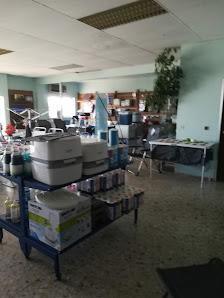 Caravanas Miguel SL - Foto 3