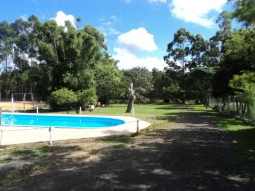 La Ponderosa - Foto 5