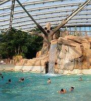 Center Parcs Check-In - Foto 7