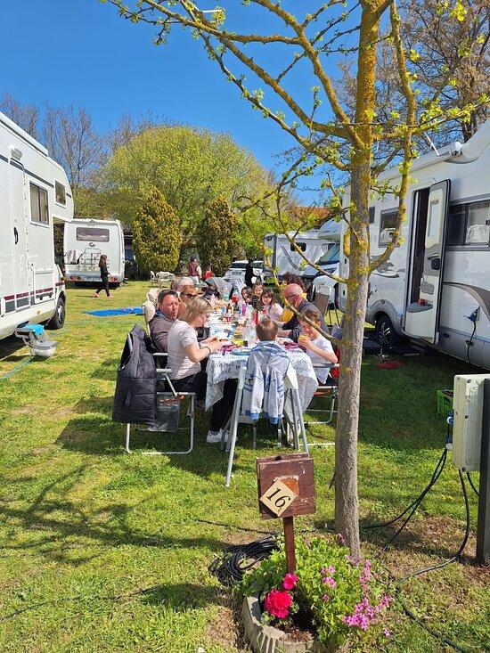 Camper Service Cardania - Foto 2