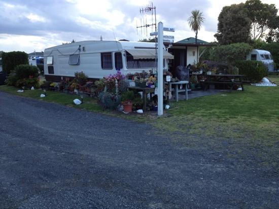 Napier Beach TOP 10 Holiday Park - Foto 2