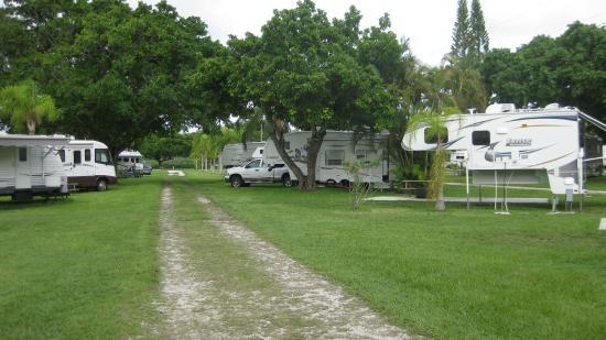 Encore Miami Everglades - Foto 5