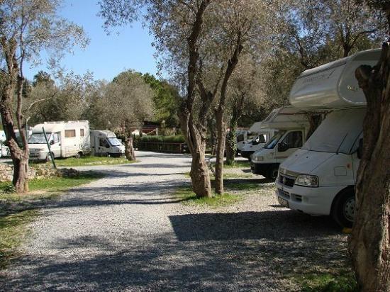 Oasi Camping Diano Marina - Foto 7