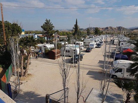 Camping Municipal Agraciada - Foto 3