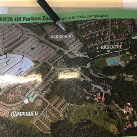 Parken Zoo Camping & Stugby - Foto 5