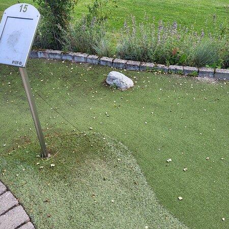 Parken Zoo Camping & Stugby - Foto 6