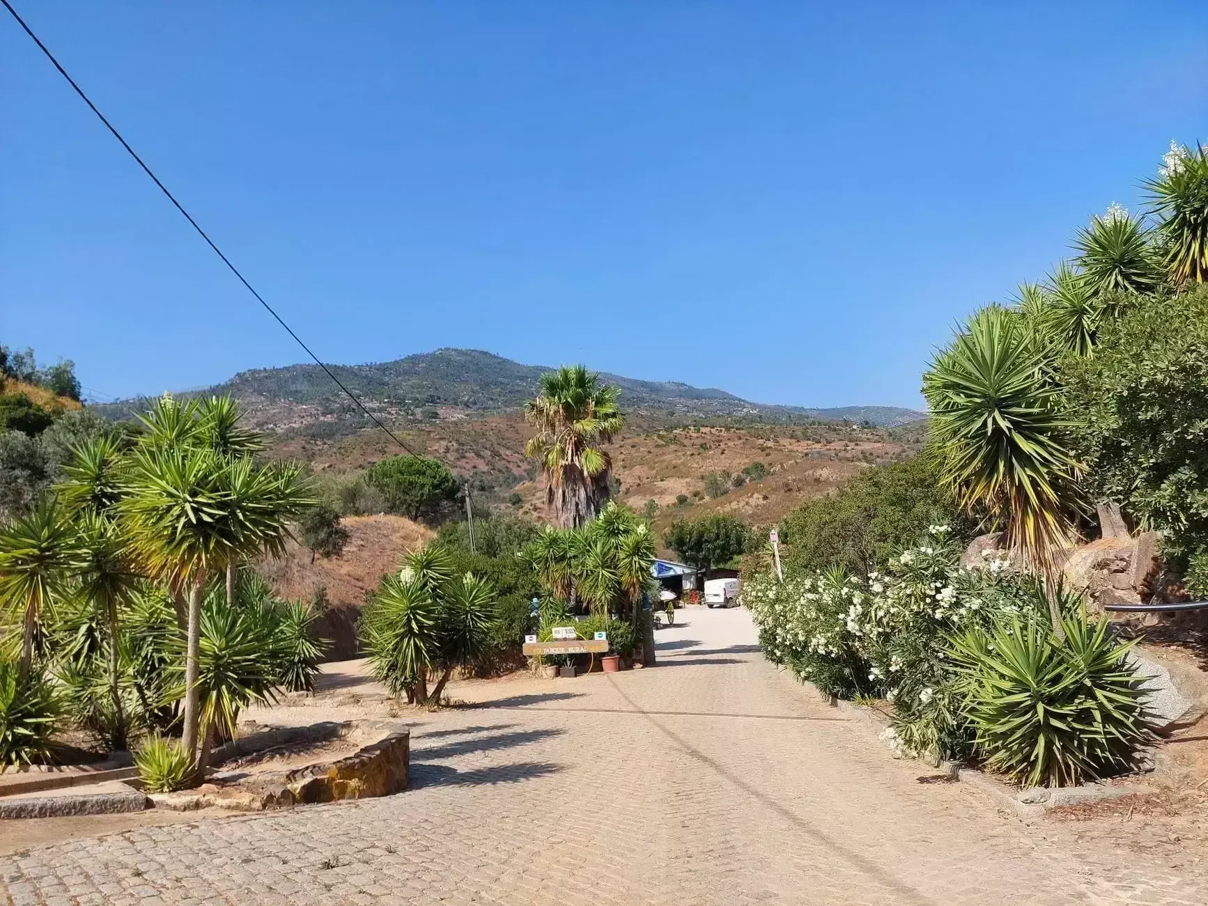 Camping Vale da Carrasqueira - Foto 6