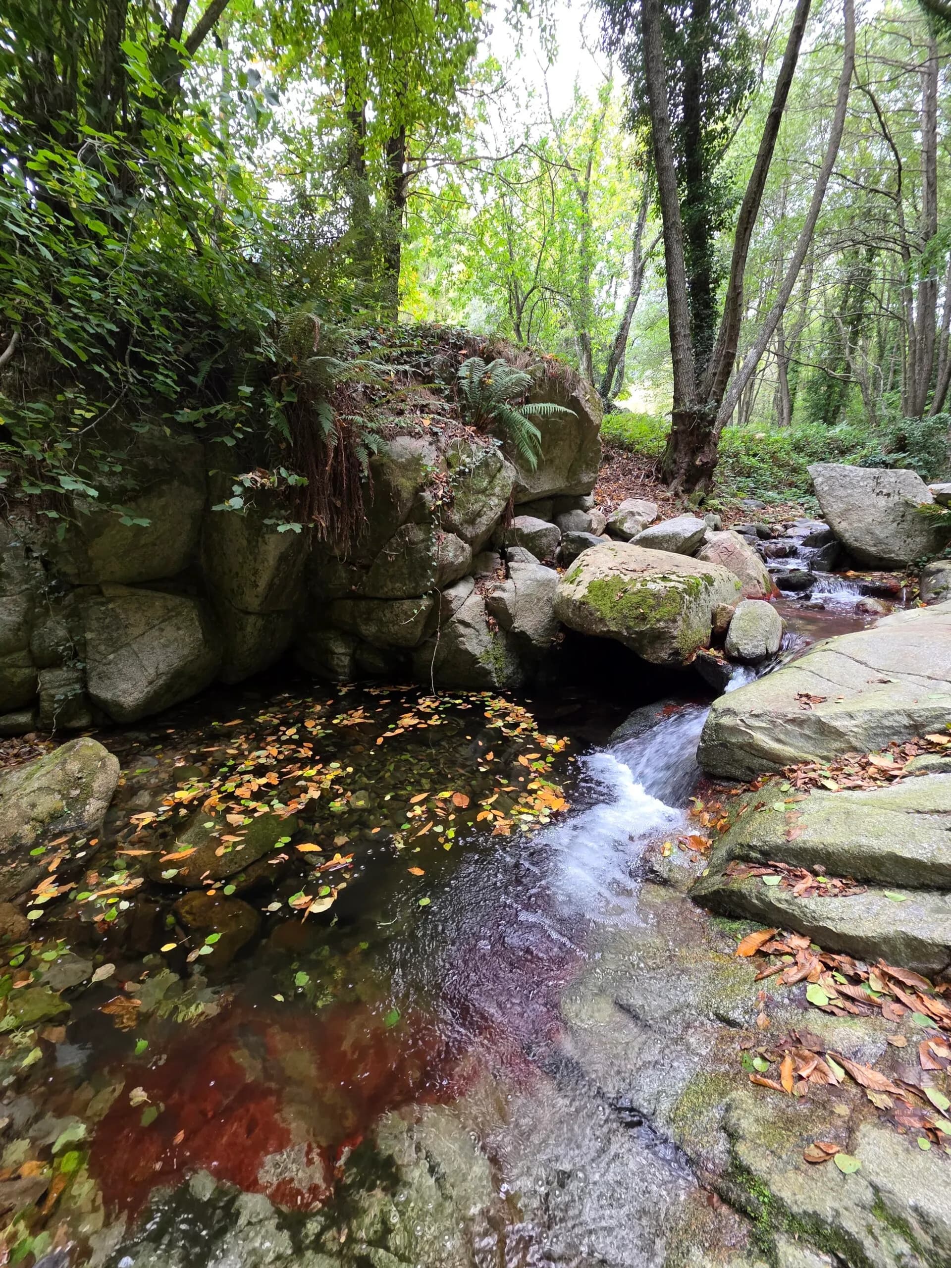 Camping Nova Forest Montseny - Foto 3