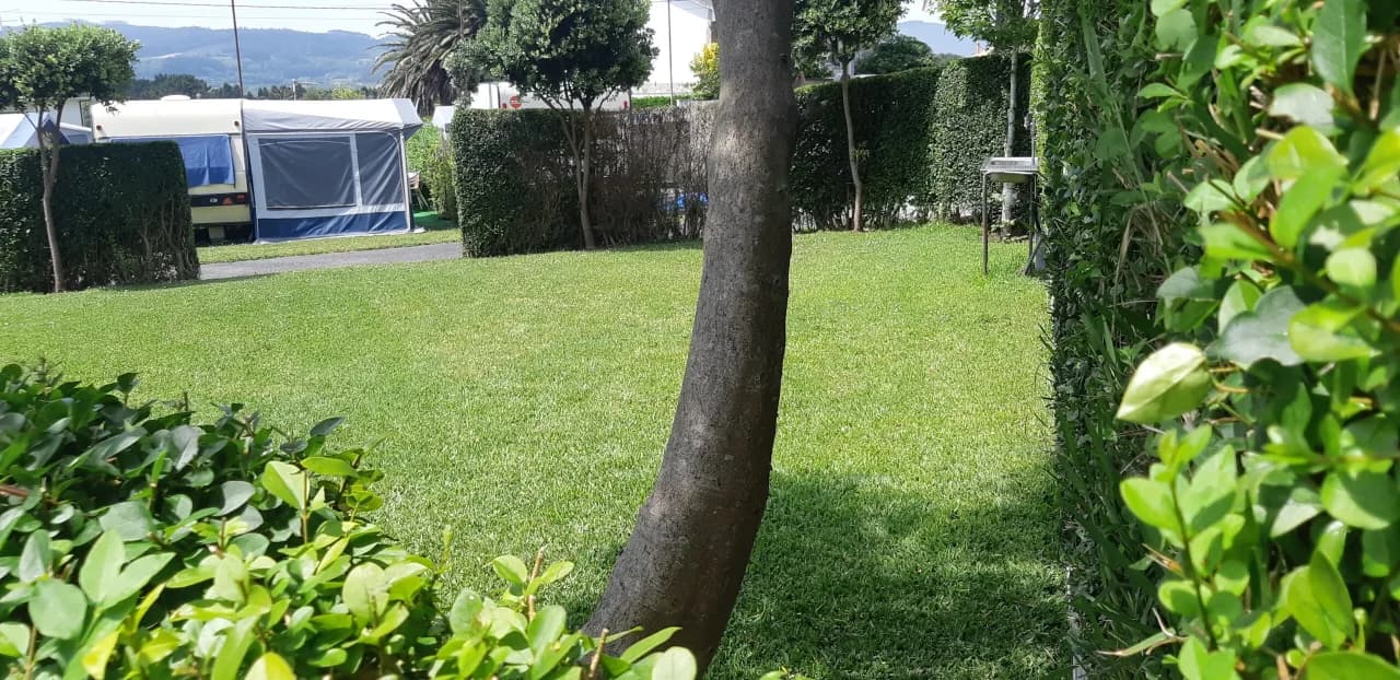 Camping Os Delfins - Foto 2