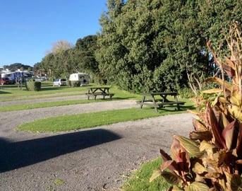 Tauranga Tourist Park - Foto 5
