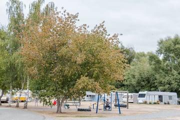 Omarama Top 10 Holiday Park - Foto 6