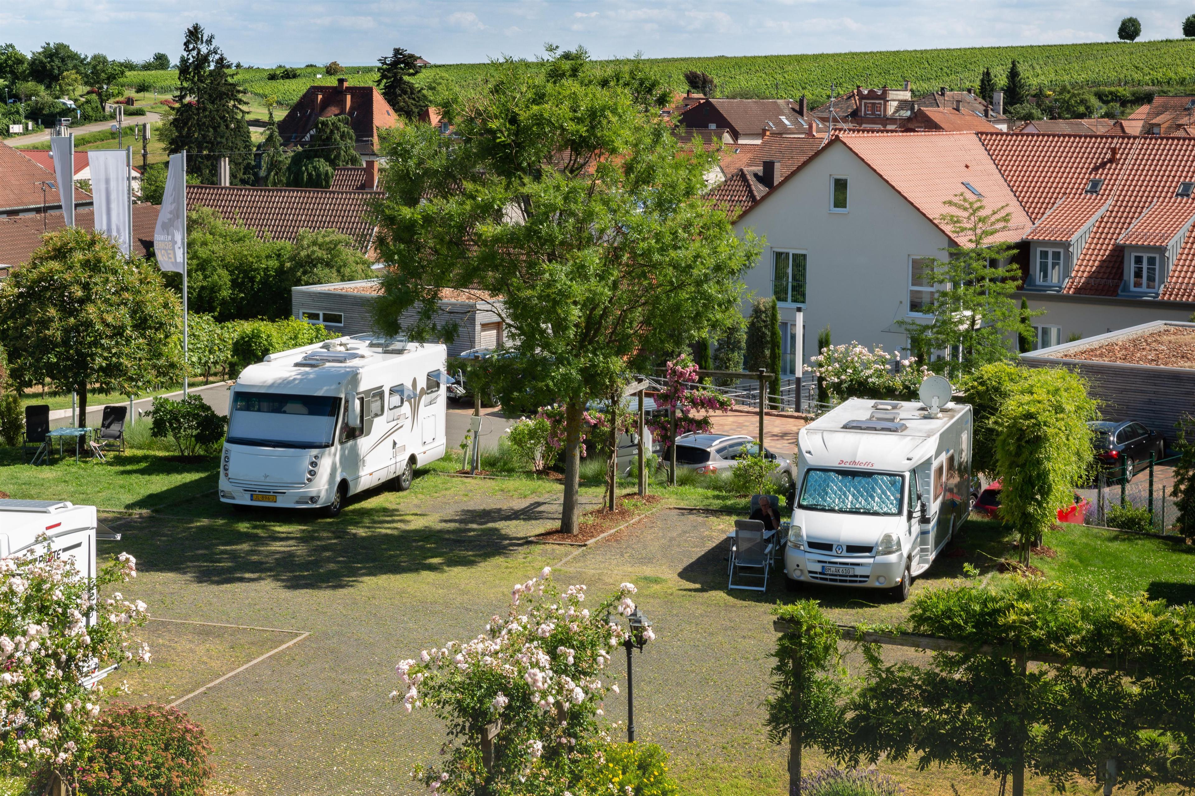 Wohnmobilstellplatz Weingut Schreieck - Foto 2