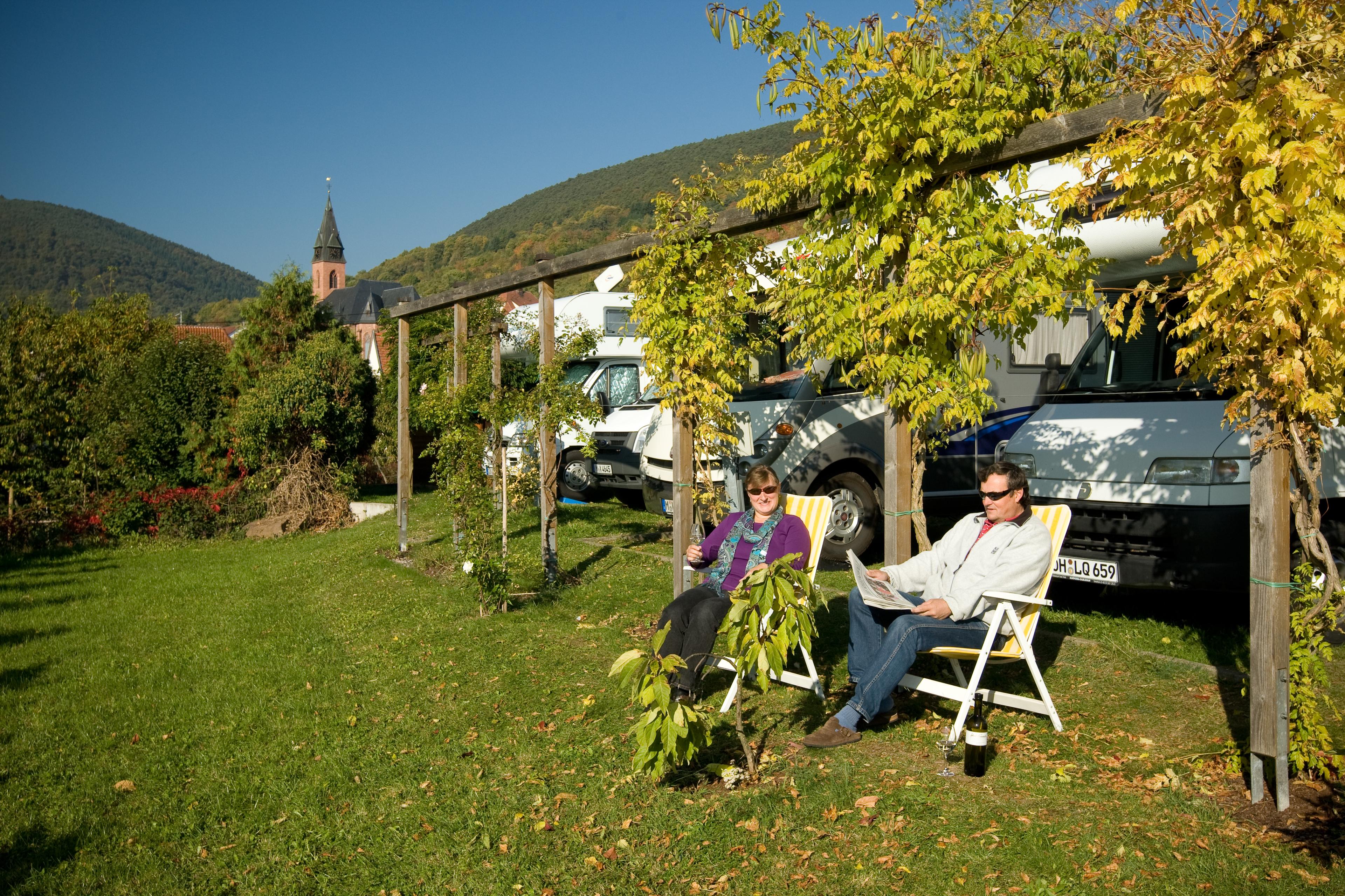 Wohnmobilstellplatz Weingut Schreieck - Foto 4