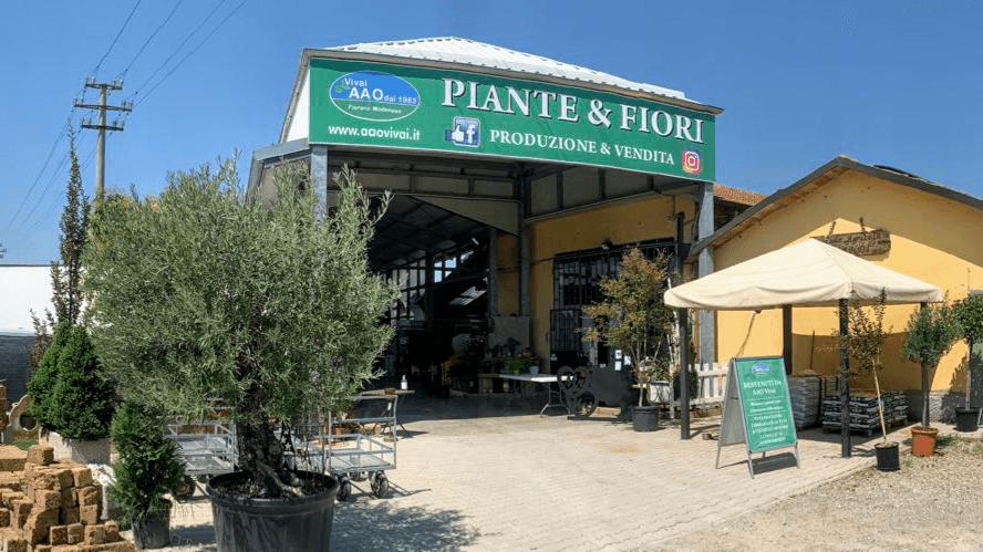 Area Sosta Camper - "Terra dei Motori" - Foto 5