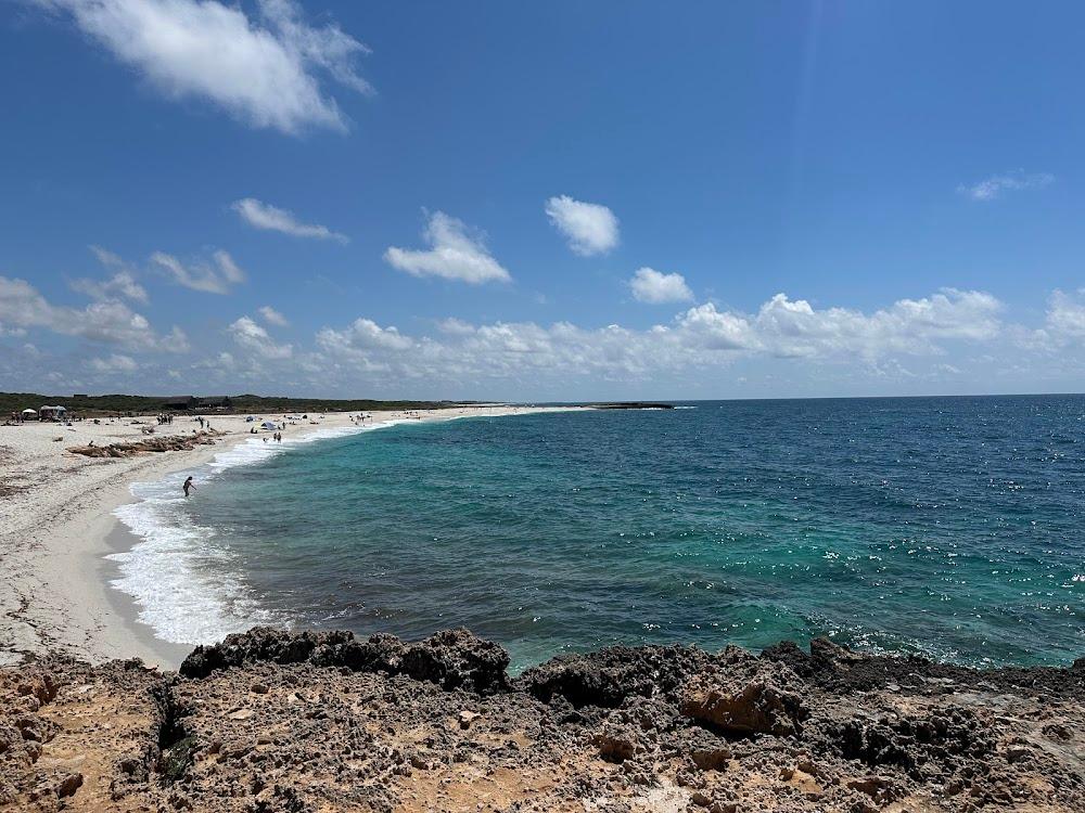 Agricampeggio Tanca Is Muras da Angelo - Foto 4