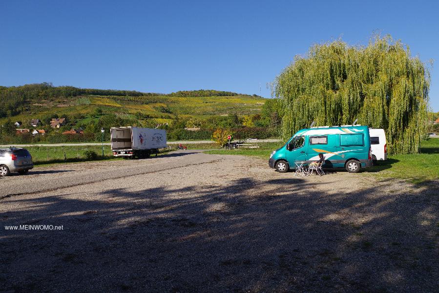 Wohnmobilstellplatz Weinverkostung - Foto 7