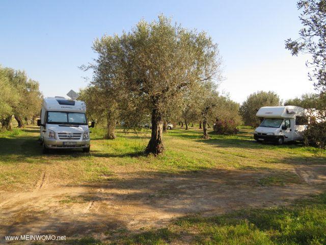 Parcheggio Voza Domenica E C. - Foto 2