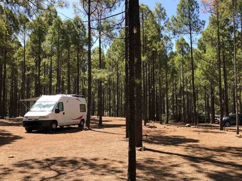 Zona de Acampada de Llanos de La Mimbre - Foto 6
