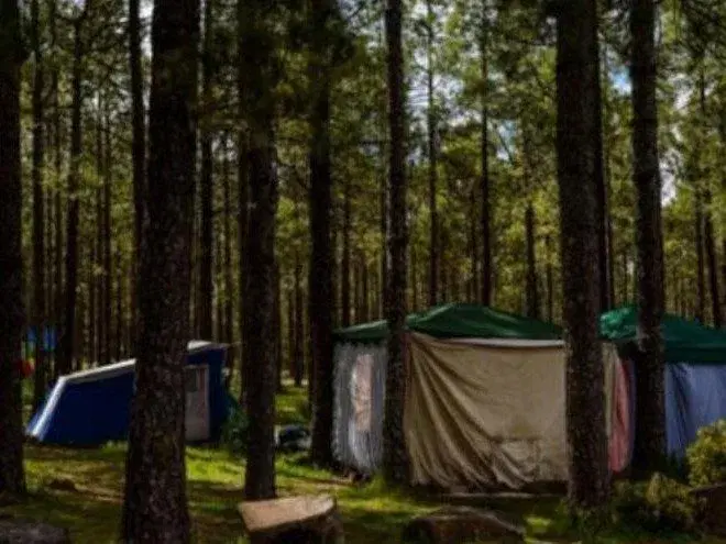 Zona de Acampada de Llanos de La Mimbre - Foto 7