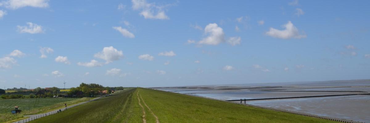 Womopark-Norddeich - liberfriso GmbH - Foto 7